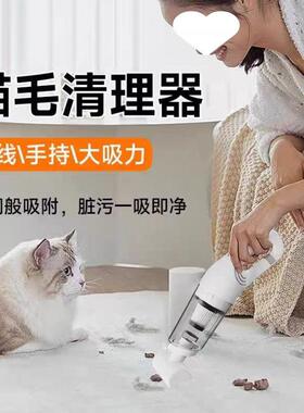 吸尘器无线大吸力家用轻便小尘型音吸车AL100498载大静功机率吸毛