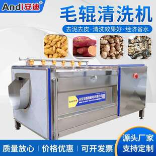 辊清洗去皮机生姜清洗脱皮机多功能商用毛刷清毛XII洗瓜洗果菜机