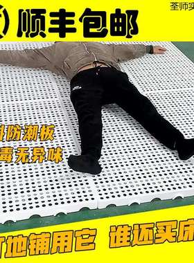 防潮板垫式20699床榻榻米打铺卧室拼接洞地板洞板透气隔潮物流垫