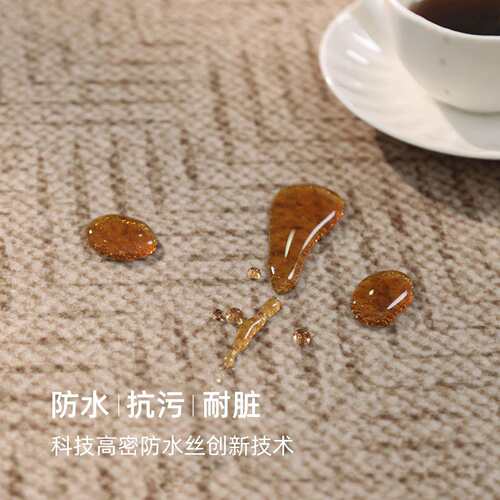 地毯客厅复古法免理防滑耐脏卧大室床边式水晶绒房间沙打发地垫面
