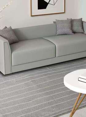 简约发新款猫抓皮休沙小户型息出租屋客厅公IIF寓服装店区接待