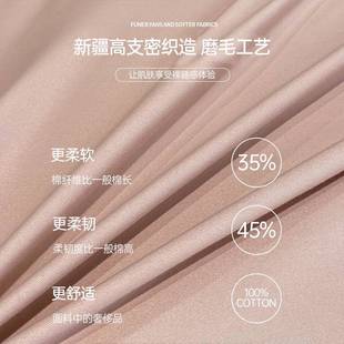 全棉磨毛被罩套100纯棉加厚冬季 被单床单20221114三件套冬天床件