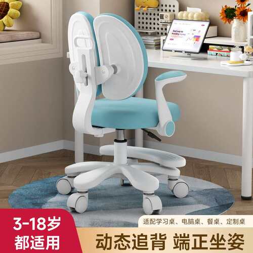 儿童学习座椅小写学生矫正坐姿作业椅可调节c60升降课椅家用字桌