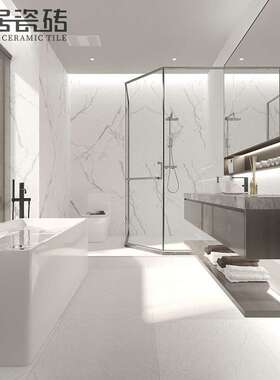 0极天脉岩通纯白色哑光体瓷砖ZJI客厅卫生间板简岩地砖墙砖60/120