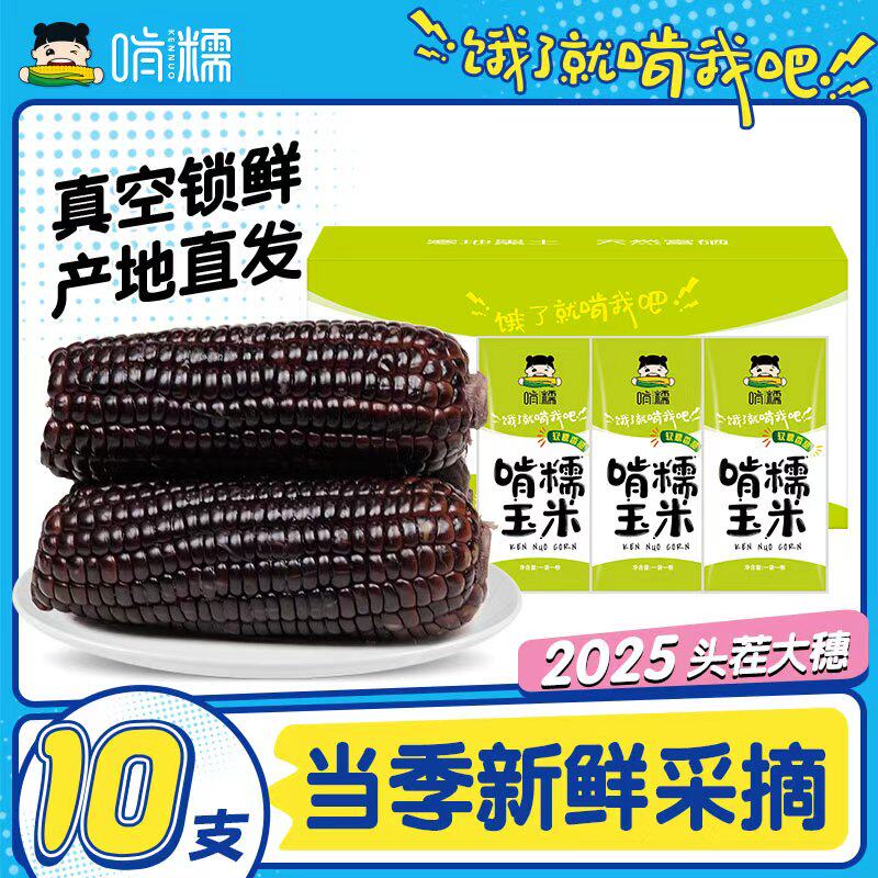 啃糯东北2025年新鲜黑糯玉米
