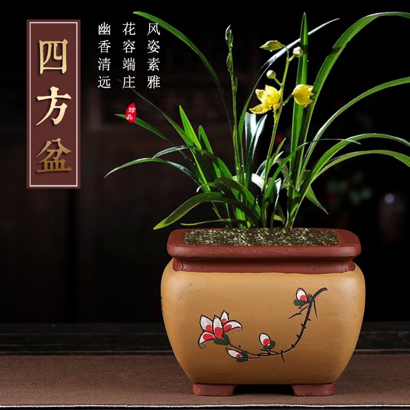 紫砂花盆兰花君子兰多肉菖蒲老桩发财树六月雪海棠四方盆景盆室内