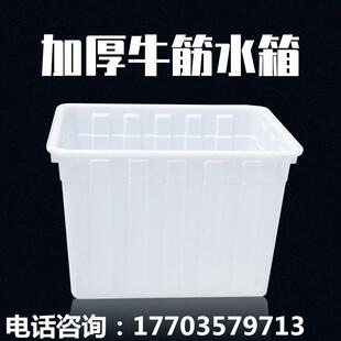 加厚牛筋塑料水箱长方形养鱼水产养殖箱大盆家用储水桶专用塑料桶
