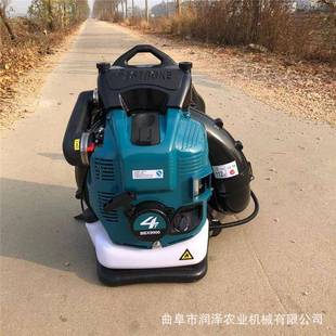 背負(fù)式 森林防火風(fēng)力滅火機(jī)大棚吹雪機(jī) 汽油吹風(fēng)機(jī)便攜式