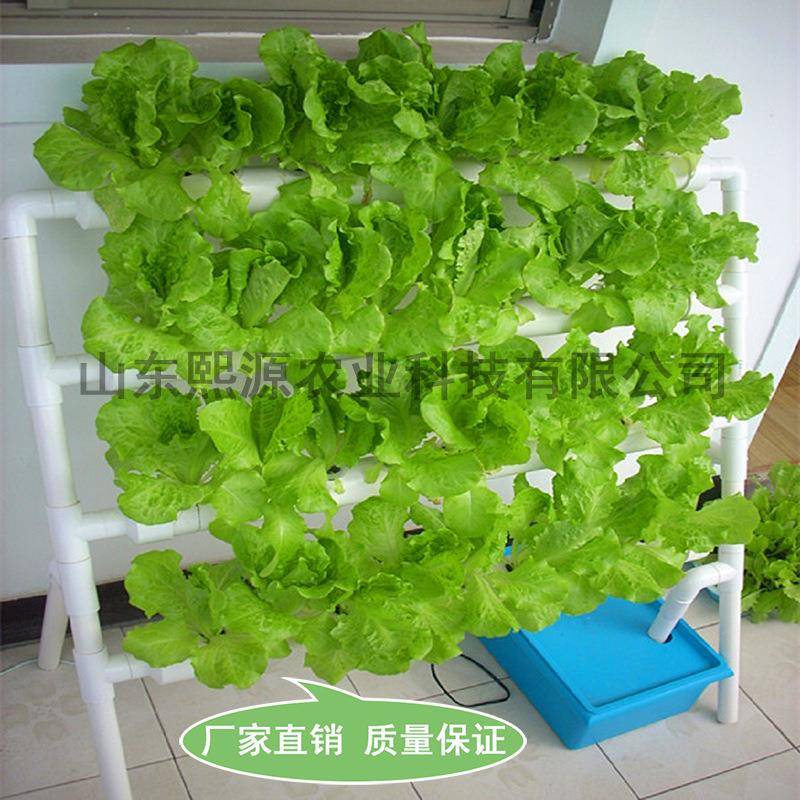 新款梯式家庭水耕水培机自动花卉水培种菜机阳台无土栽培设备