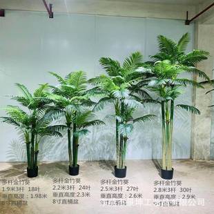 仿真金竹葵北欧仿真绿植仿真富贵葵盆景露营风仿真植物造景源