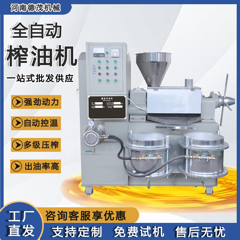 家用大型榨油机设备不锈钢商用榨油机油坊全自动小型榨油机器设备