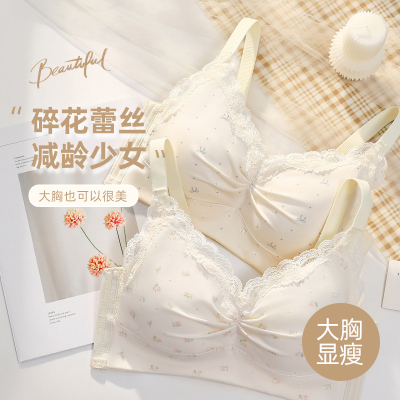 常规款薄款蕾丝大胸显小文胸上托舒适显瘦内衣聚拢调整型美背性感