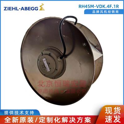 德国施乐百 ZIEHL-ABEGG RH45M-VDK.4F.1R 高压变频柜风机