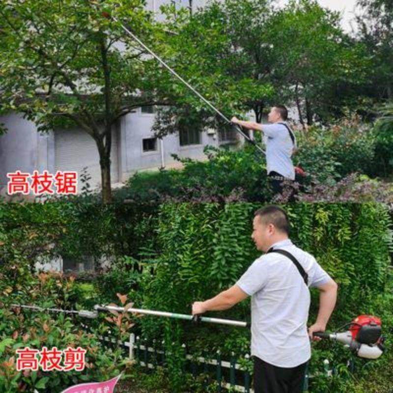 四冲程二冲程高枝锯汽油机3米高枝油锯 绿篱机修剪机剪高空剪枝,农机/农具/农膜,割灌机/割草机/油锯,淘宝优惠券,粉丝福利购,淘宝优惠卷