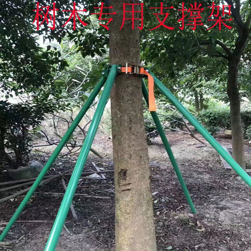 树木支撑固定器镀锌钢管紧带式树木支撑杆防风园林绿化树木支撑架