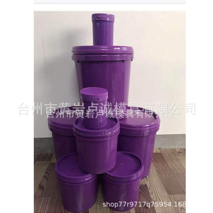 模具生产 工业涂料桶油漆桶 家用水桶有手柄密封盖子 注塑模具