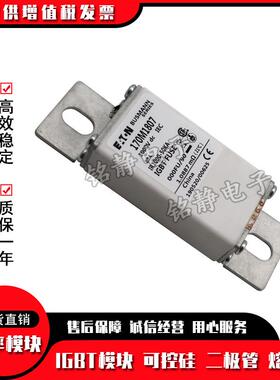 170M1807170M1808巴斯曼熔断器现货170M1809170M1810170M1811
