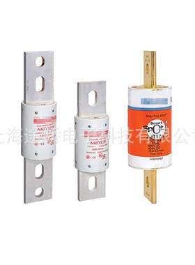 美尔森罗兰熔断器 FR14AM69V20 P218720 FR14AM69V25 E219769