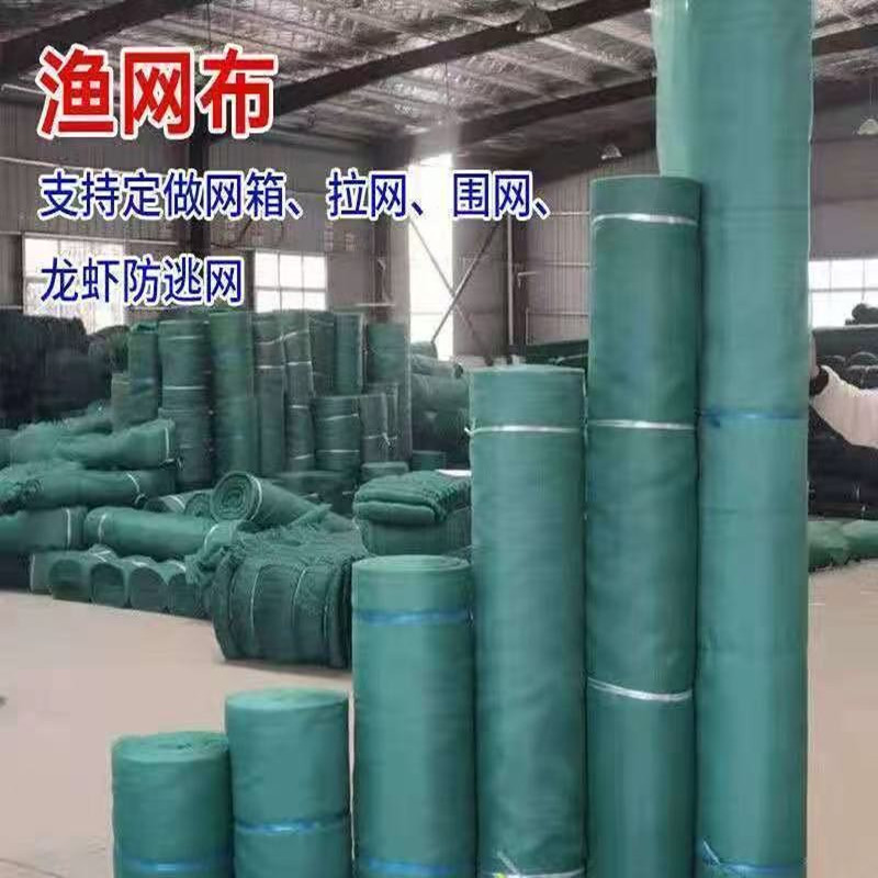 10目渔网布鱼网养鱼网箱养殖青蛙小龙虾防逃网护坡网围网布网箱