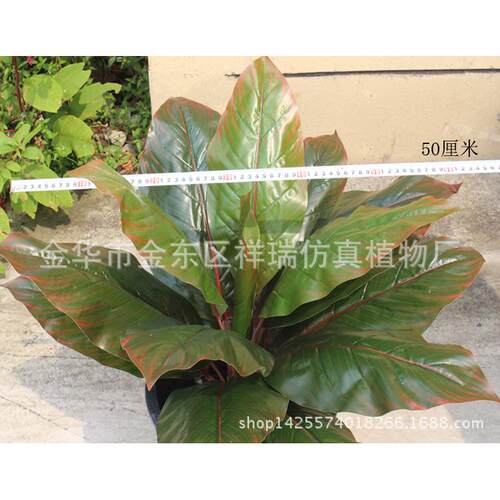 仿真植叶物树叶假盆栽象腿蕉客叶小美人蕉104芭蕉叶落地盆景厅