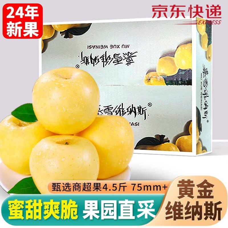 黄金维纳斯苹果 奶油苹果 黄胖子 9粒 单果200g 中秋礼盒源头直采