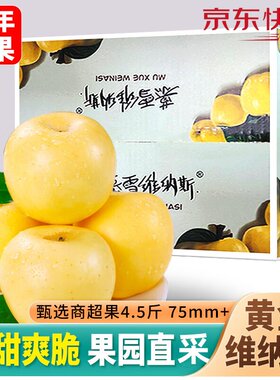 黄金维纳斯苹果 奶油苹果 黄胖子 9粒 单果200g 中秋礼盒源头直采