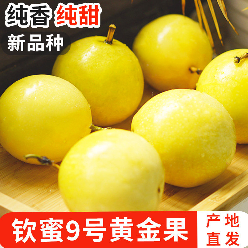 颜小荭广西钦蜜9号黄金百香果