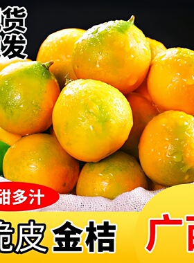 广西脆皮金桔第二代金桔新鲜桔子橘子新鲜小金柑融安特产整箱直发