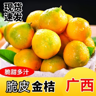 广西脆皮金桔第二代金桔新鲜桔子橘子新鲜小金柑融安特产整箱直发