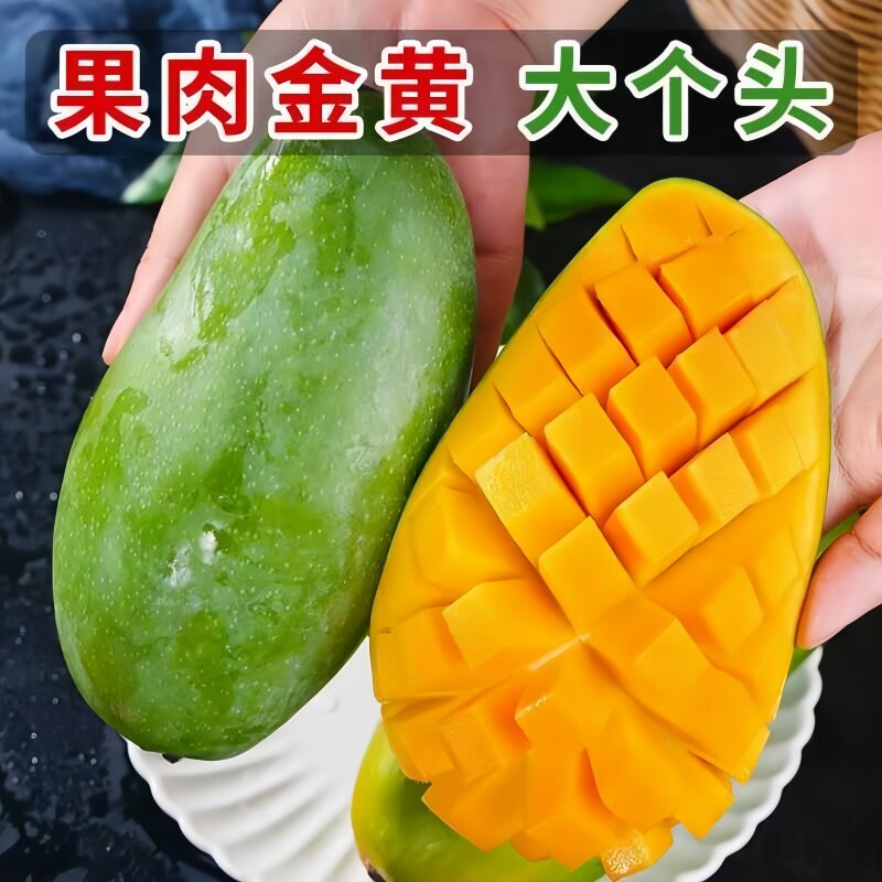 颜小荭越南大青芒大芒果