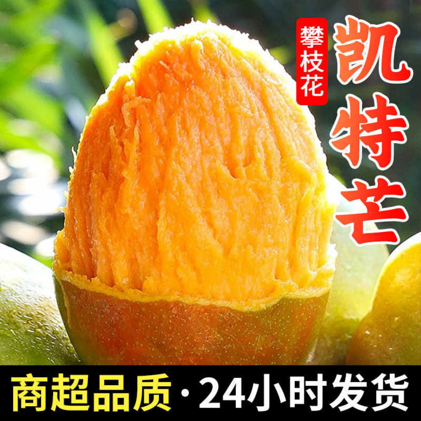颜小荭攀枝花凯特芒大芒果