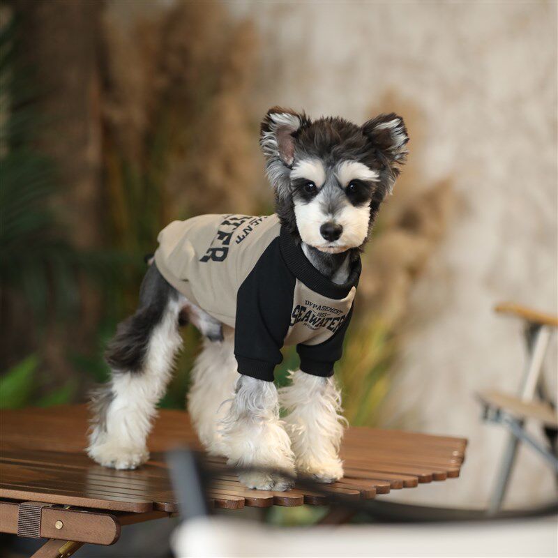 小狗衣服中小型犬泰迪博美雪纳瑞连帽春秋款卫衣宠物防掉毛狗衣服