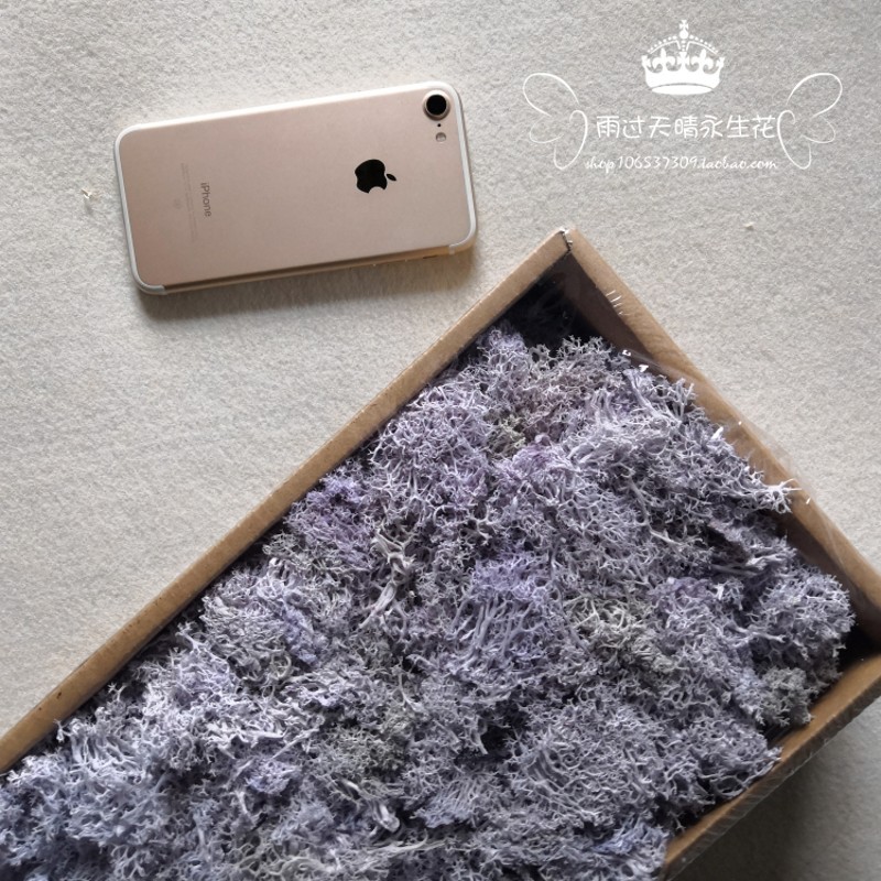 永生花整盒苔藓盒装 花材材料包diy干花植物墙苔藓墙花盒玻璃罩