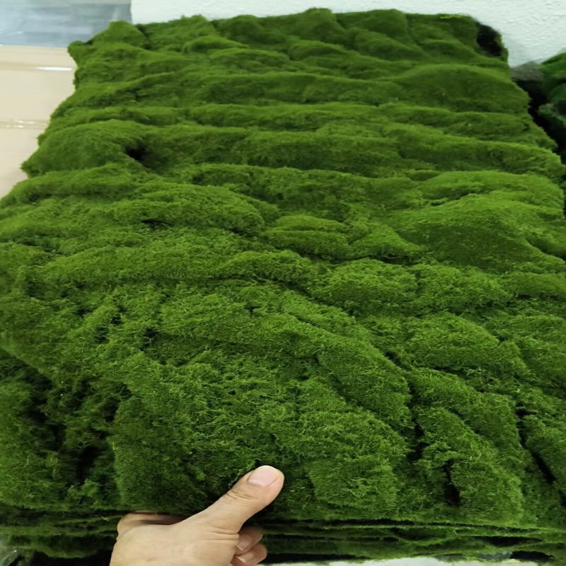 苔藓地毯青苔仿真草皮草坪商场墙贴花墙植物墙盆景盆栽假苔藓橱窗