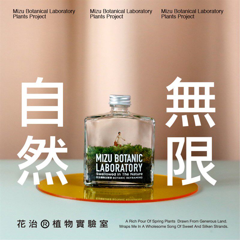 花治罐装植物植物微景观苔藓威士忌创意迷你植物礼品送长辈送朋友