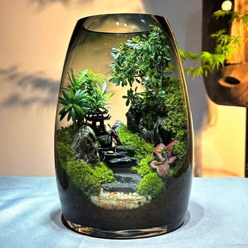 悟空微景观创意真植物苔藓绿植造景缸生态瓶办公室桌面高端送礼物