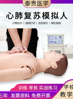 心肺复苏模拟人半全身橡皮演练假人CPR心脏胸外按压人工呼吸培训