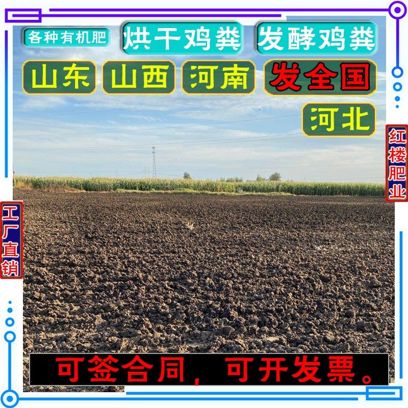 山东发酵羊粪鸡粪批/发生物有机肥纯干鸡粪种菜树苗养殖通用粪肥