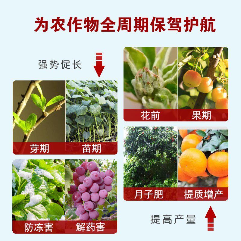 进口血浆蛋白叶面肥鱼蛋白氨基酸果树蔬菜着色靓果催芽壮苗水溶肥