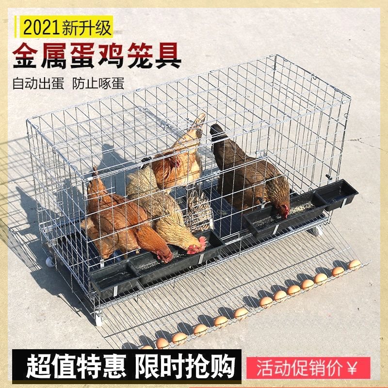 鸡笼子家用大号包邮养殖笼家用清仓养鸡笼子自动滚蛋鸡笼子蛋鸡笼