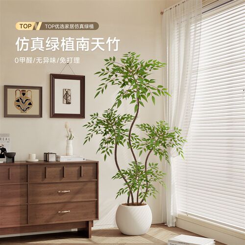 绿植彷真南天竹室内高级感盆栽装饰摆饰客厅彷生植物落地造型假树