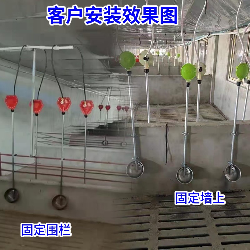 加厚加深猪用自动饮水碗猪用水位控制器猪用节水器养猪设备饮水碗