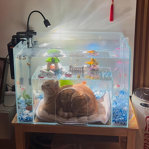 猫窝鱼缸猫咪海底世界观赏鱼缸
