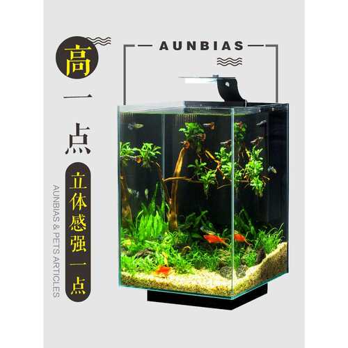 鱼缸水懒族阿箱小型桌面家用诺比草造景人养鱼客水厅WFF小型生态