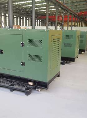 3部门采0购大泽动力291111千瓦柴油发电机单三相22V780V防尘防沙