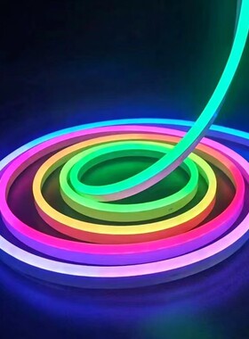 pLED幻彩柔性灯带智能Ap遥控手动霓虹水灯条氛围装饰灯2管PKO防DC