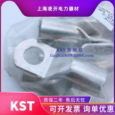 健和0兴LK30-12/14/16/2T0冷压紫铜鼻子无窥口TLK300-1头接线端RO