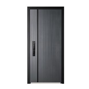 WL王力安全防盗门入户门进户门子母门家用大门GL131Z