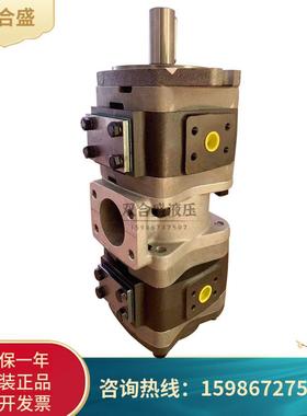 德国VOITH福伊特齿轮泵IPC4-25 171 IPC/4-/13双联泵IPV4-32-171