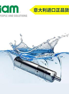 进口FIAM食品级不锈钢IP67防水认证齿轮气动马达耐腐蚀防粉尘防潮